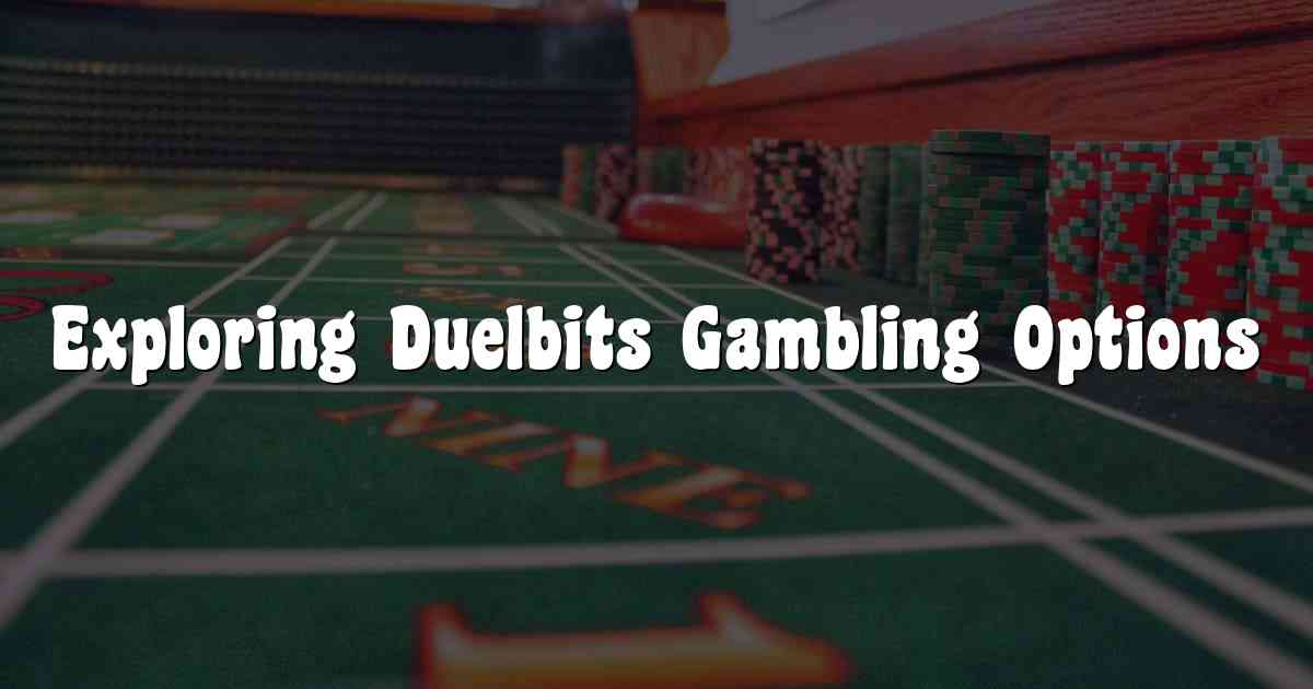 Exploring Duelbits Gambling Options